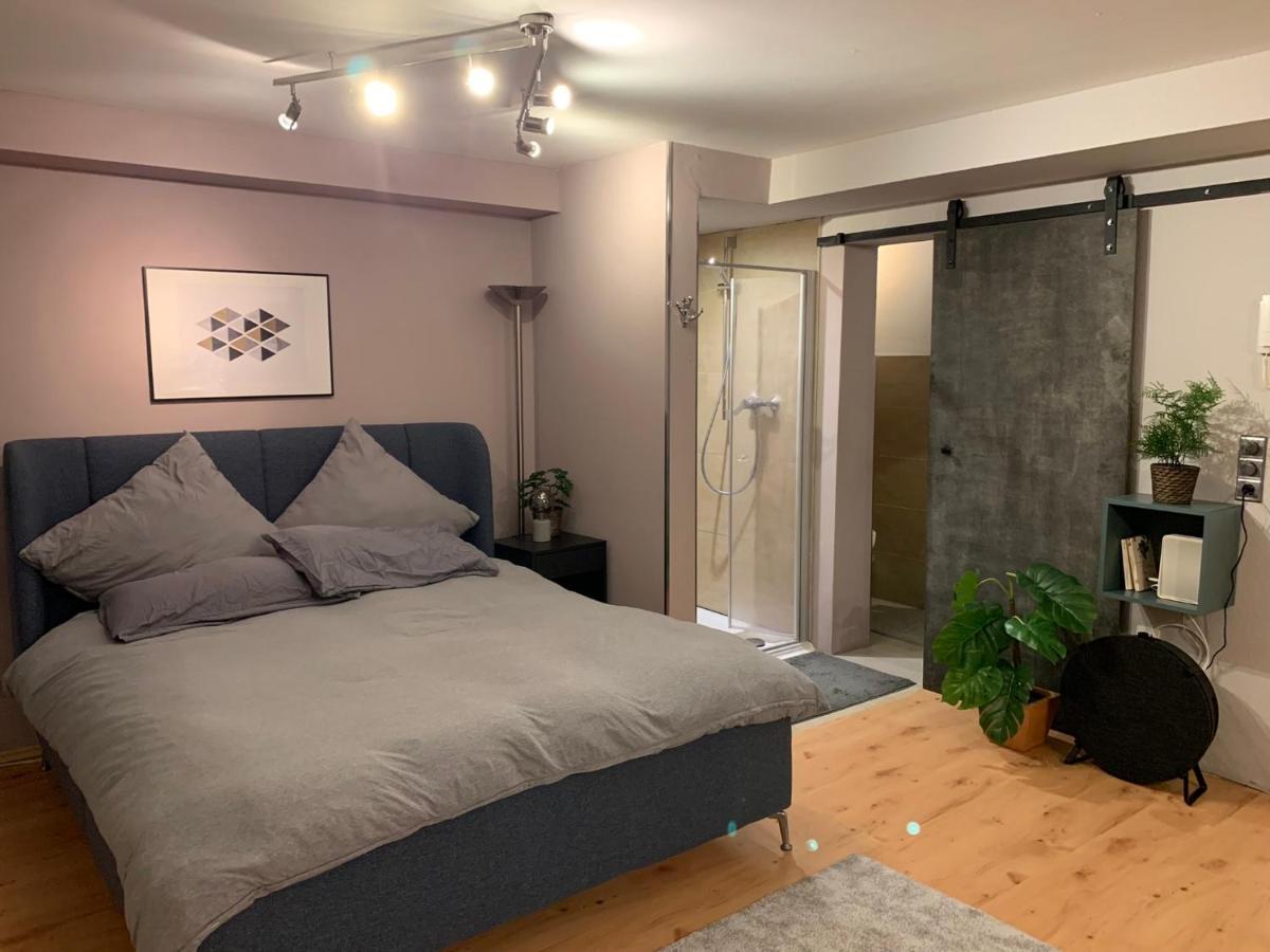 Top Studio Appartement Im Gruenen Nah Phantasialand Brühl Eksteriør bilde